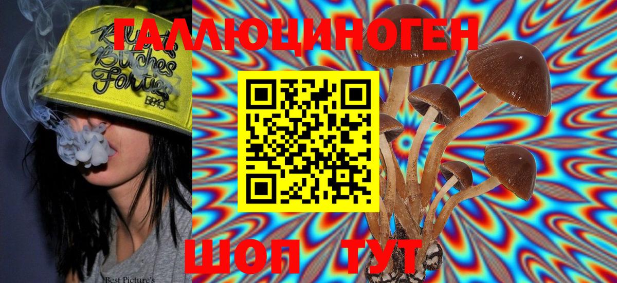 Псилоцибиновые грибы мицелий  Псилоцибиновые грибы Magic Shrooms  Вход с VPN  Саянск 