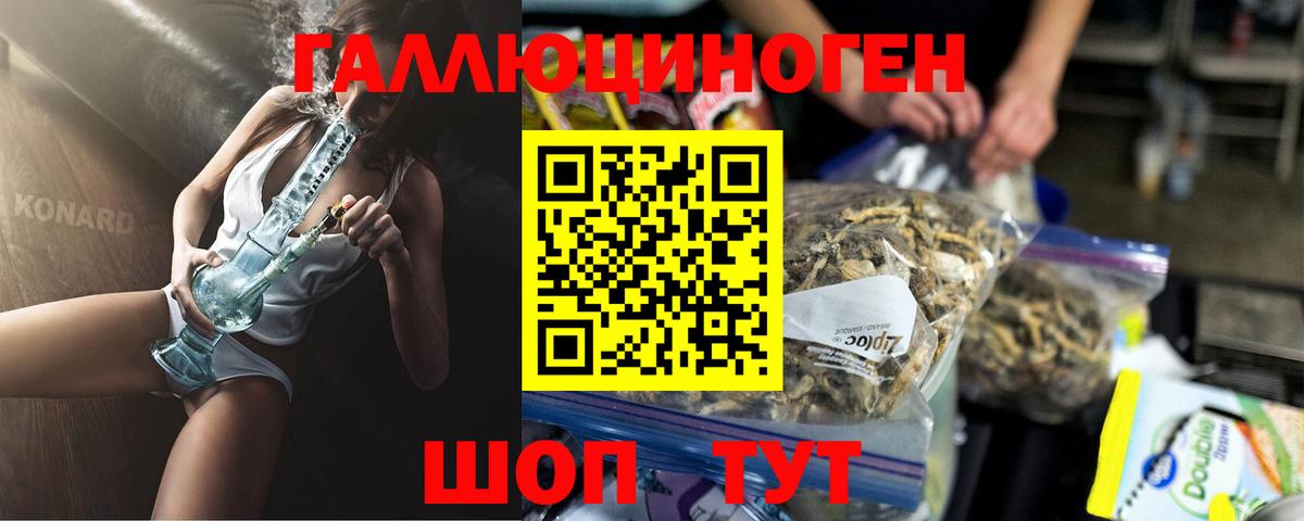 Псилоцибиновые грибы Cubensis Саянск